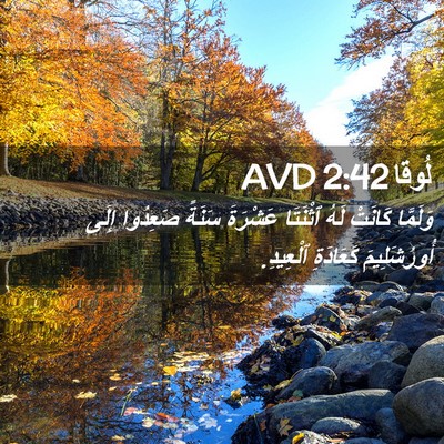 Picture 02 - لُوقا 2:42 AVD - وَلَمَّا كَانَتْ لَهُ - Bible Verse Picture
