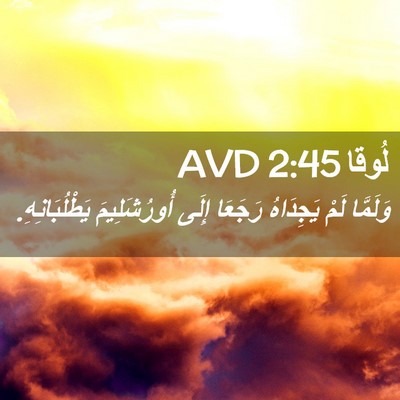 Picture 02 - لُوقا 2:45 AVD - وَلَمَّا لَمْ يَجِدَاهُ - Bible Verse Picture