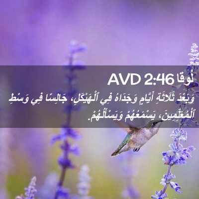 Picture 02 - لُوقا 2:46 AVD - وَبَعْدَ ثَلَاثَةِ - Bible Verse Picture