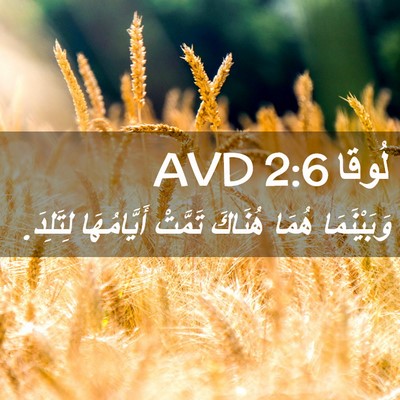 Picture 02 - لُوقا 2:6 AVD - وَبَيْنَمَا هُمَا هُنَاكَ - Bible Verse Picture