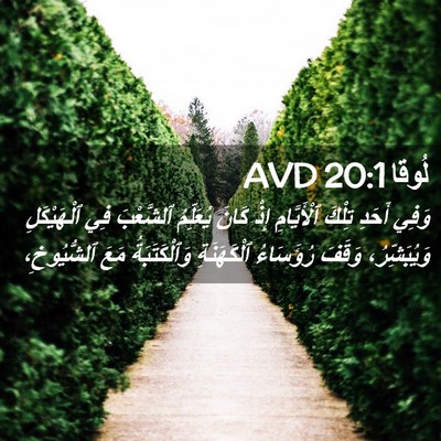 Picture 02 - لُوقا 20:1 AVD - وَفِي أَحَدِ تِلْكَ - Bible Verse Picture