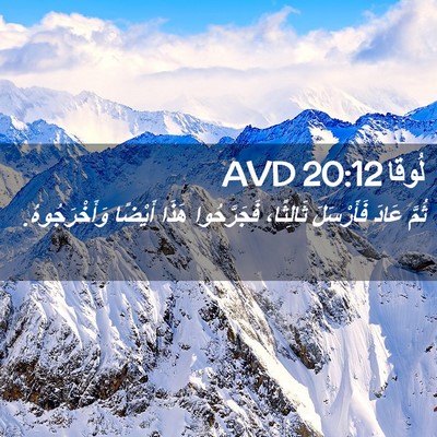 Picture 02 - لُوقا 20:12 AVD - ثُمَّ عَادَ فَأَرْسَلَ - Bible Verse Picture