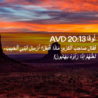 Picture 02 - لُوقا 20:13 AVD - فَقَالَ صَاحِبُ ٱلْكَرْمِ: - Bible Verse Picture