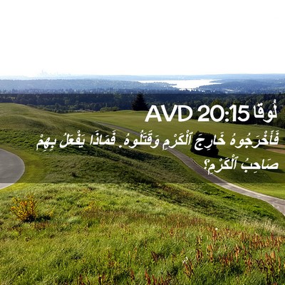 Picture 02 - لُوقا 20:15 AVD - فَأَخْرَجُوهُ خَارِجَ - Bible Verse Picture