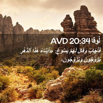 Picture 02 - لُوقا 20:34 AVD - فَأَجَابَ وَقَالَ لَهُمْ - Bible Verse Picture