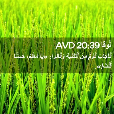 Picture 02 - لُوقا 20:39 AVD - فَأجَابَ قَوْمٌ مِنَ - Bible Verse Picture