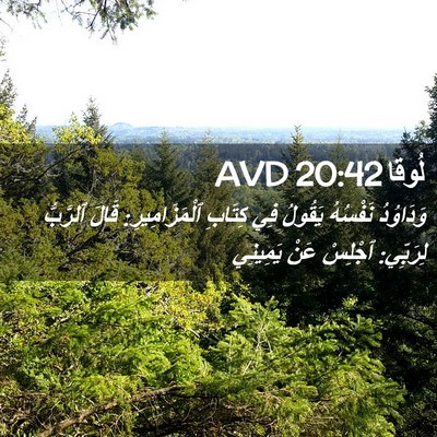 Picture 02 - لُوقا 20:42 AVD - وَدَاوُدُ نَفْسُهُ - Bible Verse Picture