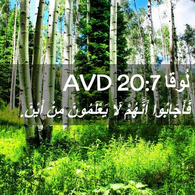 Picture 02 - لُوقا 20:7 AVD - فَأَجَابُوا أَنَّهُمْ لَا - Bible Verse Picture