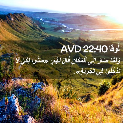 Picture 02 - لُوقا 22:40 AVD - وَلَمَّا صَارَ إِلَى - Bible Verse Picture