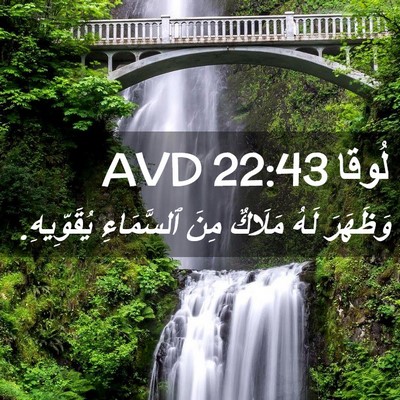 Picture 02 - لُوقا 22:43 AVD - وَظَهَرَ لَهُ مَلَاكٌ مِنَ - Bible Verse Picture