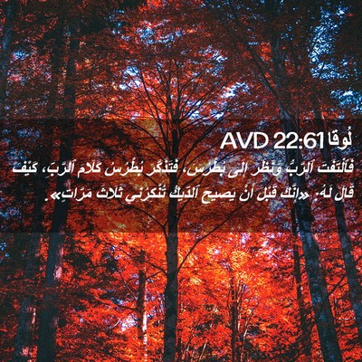 Picture 02 - لُوقا 22:61 AVD - فَٱلْتَفَتَ ٱلرَّبُّ - Bible Verse Picture