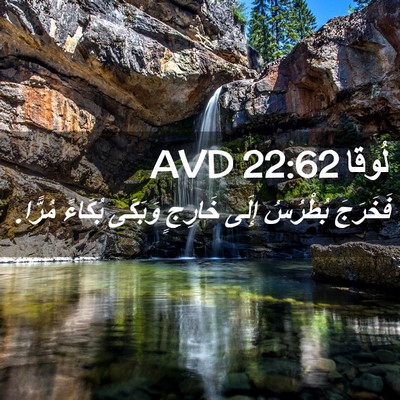 Picture 02 - لُوقا 22:62 AVD - فَخَرَجَ بُطْرُسُ إِلَى - Bible Verse Picture