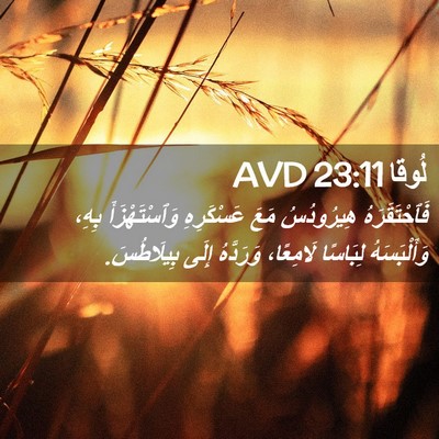 Picture 02 - لُوقا 23:11 AVD - فَٱحْتَقَرَهُ هِيرُودُسُ - Bible Verse Picture