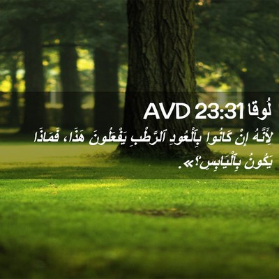 Picture 02 - لُوقا 23:31 AVD - لِأَنَّهُ إِنْ كَانُوا - Bible Verse Picture