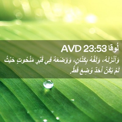 Picture 02 - لُوقا 23:53 AVD - وَأَنْزَلَهُ، وَلَفَّهُ - Bible Verse Picture