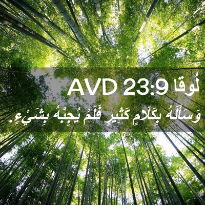 Picture 02 - لُوقا 23:9 AVD - وَسَأَلَهُ بِكَلَامٍ - Bible Verse Picture