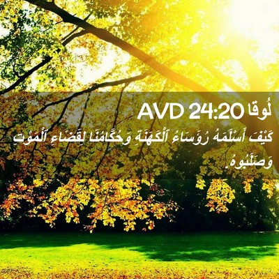 Picture 02 - لُوقا 24:20 AVD - كَيْفَ أَسْلَمَهُ - Bible Verse Picture