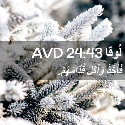 Picture 02 - لُوقا 24:43 AVD - فَأَخَذَ وَأَكَلَ - Bible Verse Picture