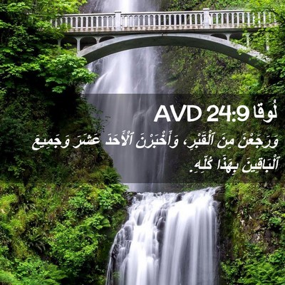 Picture 02 - لُوقا 24:9 AVD - وَرَجَعْنَ مِنَ - Bible Verse Picture