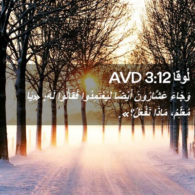 Picture 02 - لُوقا 3:12 AVD - وَجَاءَ عَشَّارُونَ - Bible Verse Picture