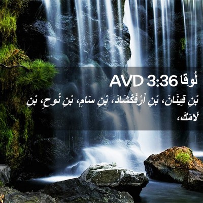 Picture 02 - لُوقا 3:36 AVD - بْنِ قِينَانَ، بْنِ - Bible Verse Picture