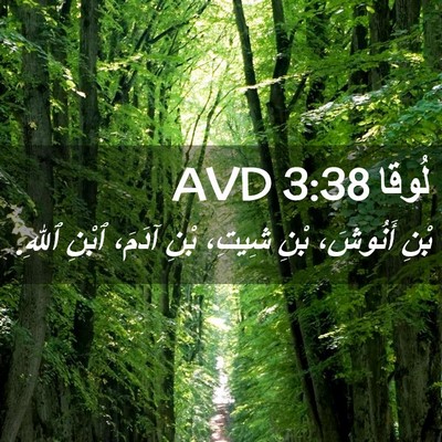 Picture 02 - لُوقا 3:38 AVD - بْنِ أَنُوشَ، بْنِ شِيتِ، - Bible Verse Picture