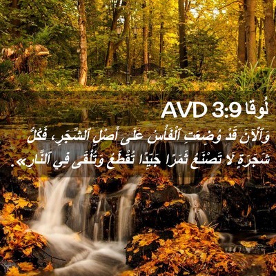 Picture 02 - لُوقا 3:9 AVD - وَٱلْآنَ قَدْ وُضِعَتِ - Bible Verse Picture