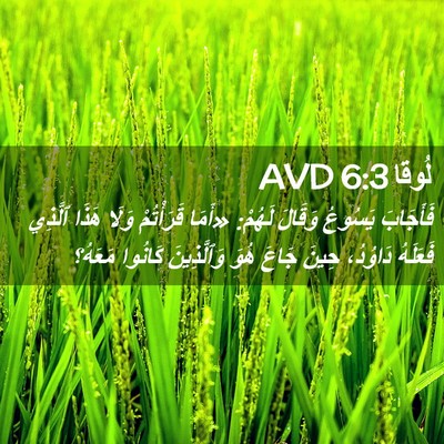 Picture 02 - لُوقا 6:3 AVD - فَأَجَابَ يَسُوعُ وَقَالَ - Bible Verse Picture