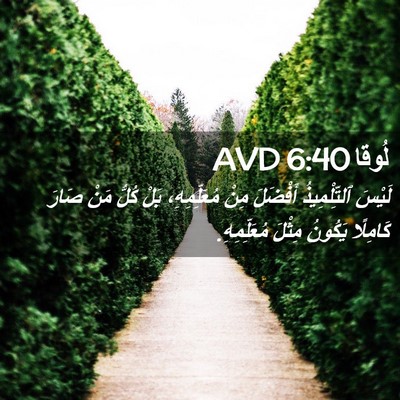 Picture 02 - لُوقا 6:40 AVD - لَيْسَ ٱلتِّلْمِيذُ - Bible Verse Picture
