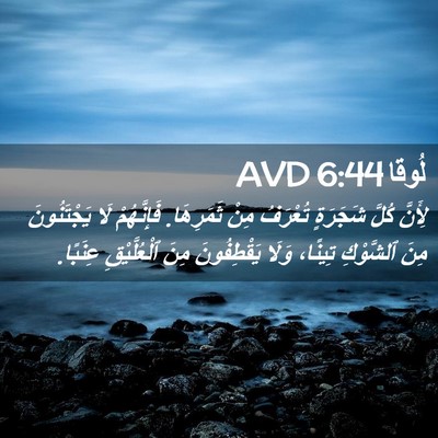 Picture 02 - لُوقا 6:44 AVD - لِأَنَّ كُلَّ شَجَرَةٍ - Bible Verse Picture