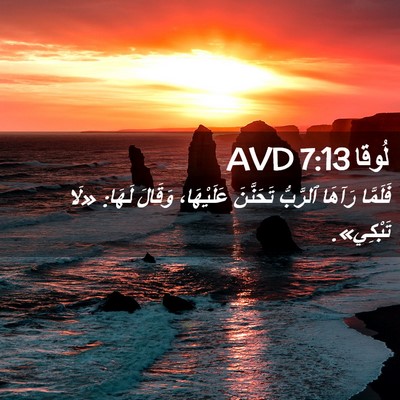 Picture 02 - لُوقا 7:13 AVD - فَلَمَّا رَآهَا ٱلرَّبُّ - Bible Verse Picture