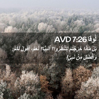Picture 02 - لُوقا 7:26 AVD - بَلْ مَاذَا خَرَجْتُمْ - Bible Verse Picture