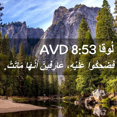 Picture 02 - لُوقا 8:53 AVD - فَضَحِكُوا عَلَيْهِ، - Bible Verse Picture