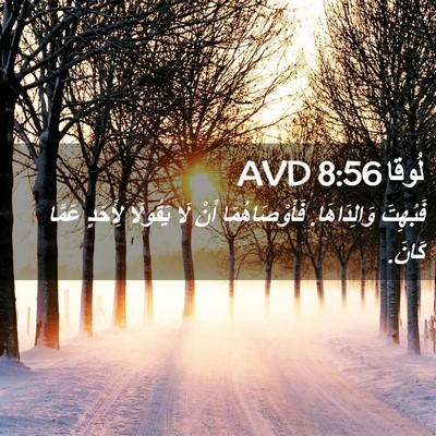 Picture 02 - لُوقا 8:56 AVD - فَبُهِتَ وَالِدَاهَا. - Bible Verse Picture