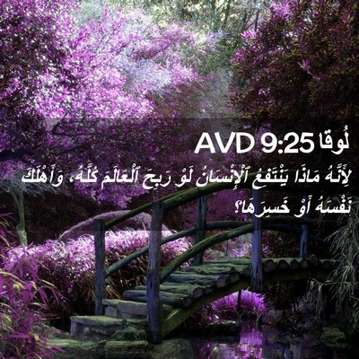 Picture 02 - لُوقا 9:25 AVD - لِأَنَّهُ مَاذَا - Bible Verse Picture