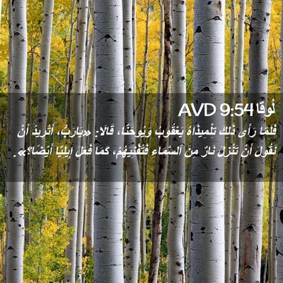 Picture 02 - لُوقا 9:54 AVD - فَلَمَّا رَأَى ذَلِكَ - Bible Verse Picture