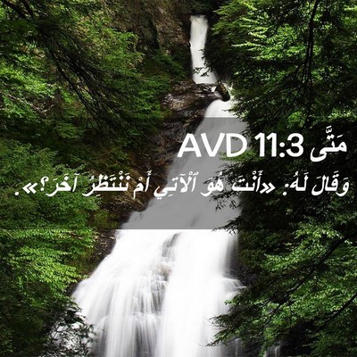 Picture 02 - مَتَّى 11:3 AVD - وَقَالَ لَهُ: «أَنْتَ هُوَ - Bible Verse Picture