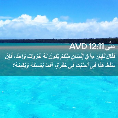 Picture 02 - مَتَّى 12:11 AVD - فَقَالَ لَهُمْ: «أَيُّ - Bible Verse Picture