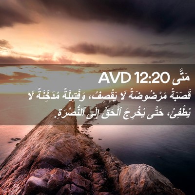 Picture 02 - مَتَّى 12:20 AVD - قَصَبَةً مَرْضُوضَةً لَا - Bible Verse Picture