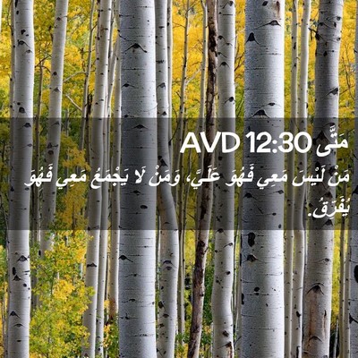 Picture 02 - مَتَّى 12:30 AVD - مَنْ لَيْسَ مَعِي فَهُوَ - Bible Verse Picture