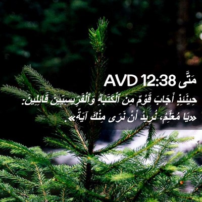 Picture 02 - مَتَّى 12:38 AVD - حِينَئِذٍ أَجَابَ قَوْمٌ - Bible Verse Picture