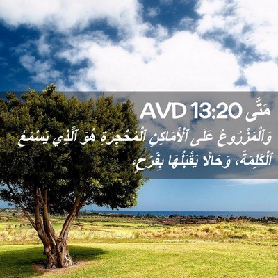 Picture 02 - مَتَّى 13:20 AVD - وَٱلْمَزْرُوعُ عَلَى - Bible Verse Picture