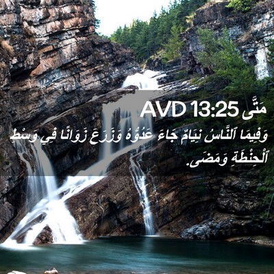 Picture 02 - مَتَّى 13:25 AVD - وَفِيمَا ٱلنَّاسُ نِيَامٌ - Bible Verse Picture