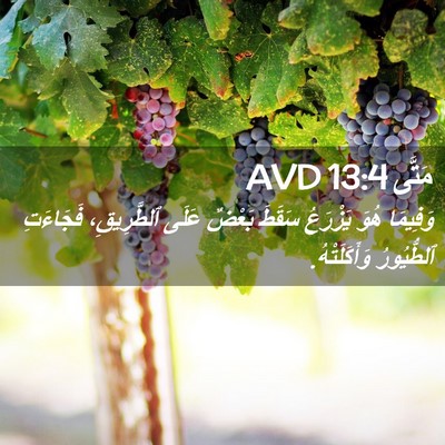 Picture 02 - مَتَّى 13:4 AVD - وَفِيمَا هُوَ يَزْرَعُ - Bible Verse Picture
