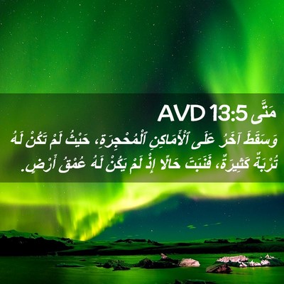 Picture 02 - مَتَّى 13:5 AVD - وَسَقَطَ آخَرُ عَلَى - Bible Verse Picture