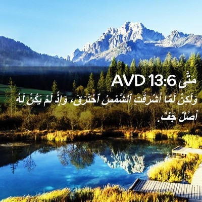 Picture 02 - مَتَّى 13:6 AVD - وَلَكِنْ لَمَّا - Bible Verse Picture
