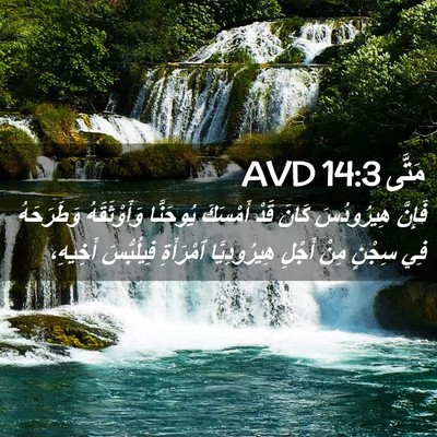 Picture 02 - مَتَّى 14:3 AVD - فَإِنَّ هِيرُودُسَ كَانَ - Bible Verse Picture