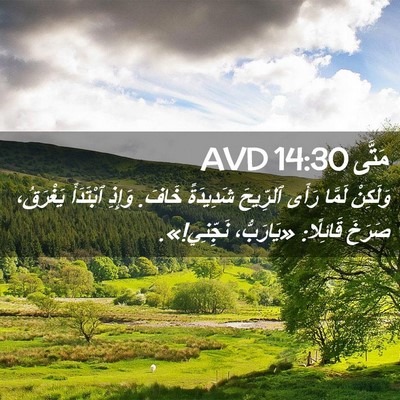 Picture 02 - مَتَّى 14:30 AVD - وَلَكِنْ لَمَّا رَأَى - Bible Verse Picture