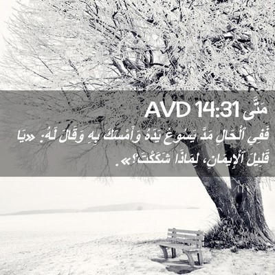 Picture 02 - مَتَّى 14:31 AVD - فَفِي ٱلْحَالِ مَدَّ - Bible Verse Picture