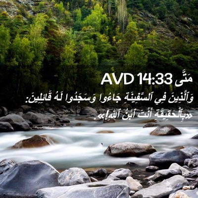 Picture 02 - مَتَّى 14:33 AVD - وَٱلَّذِينَ فِي - Bible Verse Picture